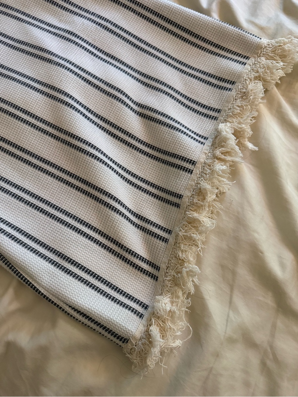 SAYLOR Cream and Black Striped Tassel-Trim Dress - Picture 11 of 11
